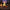 Marshmallow Camping Duck right profile view (themed)