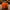 Pumpkin Duck – 3D-printed duck by Zero Ducks Given