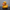Gold Protocol Droid Duck