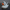 Spooky Ghost Duck (White)