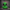 Alien Duck - Image 1 with studio background