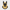 Anubis Duck 360 degree rotating view