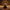 Anubis Duck – Back