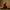 Anubis Duck – Camera Facing