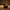 Anubis Duck – Right Side