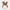 Australian Shepherd Duck 360 degree rotating view