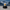 Bald Eagle Duck – Front