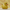 Banana Duck — Right Side