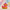 Birthday Duck - Left Side