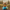 Bob Ross Duck — Camera Facing