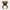 Boxer Duck - New 360 degree rotating view