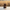 Boykin Spaniel Duck — Back
