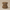 Brussels Griffon Duck — Front
