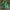 Bulbasaur-Inspired Duck - 45-degree front-left view