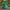 Bulbasaur-Inspired Duck - front view