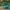 Bulbasaur-Inspired Duck - left profile view