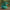 Bulbasaur-Inspired Duck - right profile view