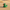 Cactus Duck — Left Side