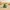 Cactus Duck — Right Side