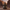 Cad Bane Duck — Back