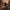 Cad Bane Duck — Left Side