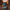 Cad Bane Duck — Right Side