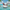 Carnival Cruise Duck — Right Side