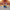 Cheerleader Duck — Camera Facing