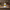 Chef Duck — Back