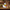 Chef Duck — Right Side