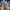 Christmas Elf Duck - Image 2