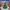 Christmas Tree Duck 1