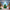 Christmas Tree Duck 3