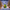 Christmas Wreath Duck 4