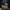 Colossus Duck – Left Side View