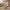 Construction Worker Duck — Camera Facing
