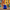 Cookie Monster Duck - Sesame Street 1