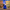 Cookie Monster Duck - Sesame Street 4