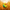 Corn Duck — Front
