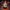 Daenerys Targaryen Duck - Image 1 with mystical background