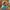 Bob Ross Duck