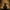 Death Dragon Duck – Camera Facing