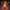 Dragon Ballz Duck in Mystical Workshop 2