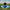 Duck Bob Ross — Back