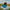 Duck Bob Ross — Right Side