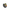 Edward Cullen-Inspired Duck