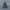 Eeyore Duck – Camera Facing