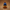 Egyptian God Ra Duck – Back