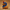 Egyptian God Ra Duck – Left Side