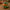 Elf Duck V2 - 45 degree